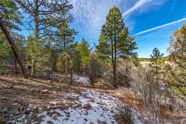 Lot 10 Prairie Dog Road