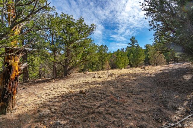 Lot 10 Prairie Dog Road