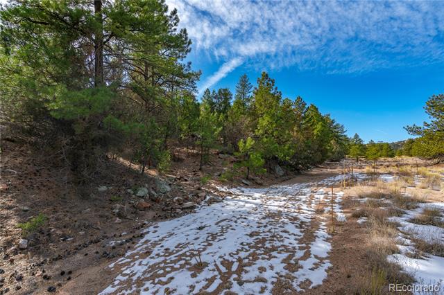 Lot 10 Prairie Dog Road