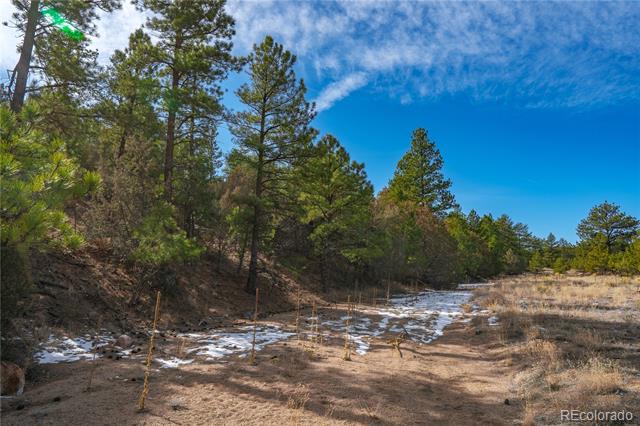 Lot 10 Prairie Dog Road