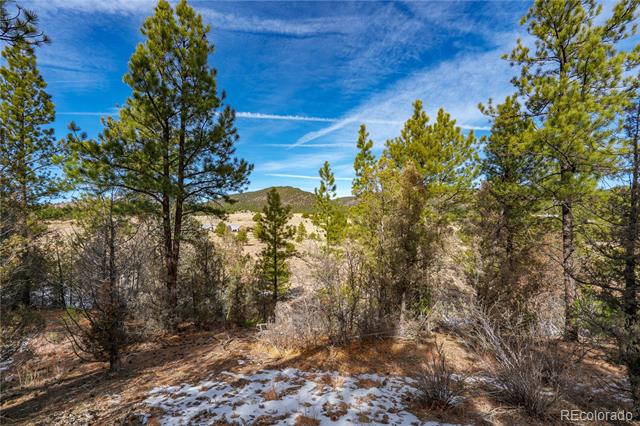 Lot 10 Prairie Dog Road