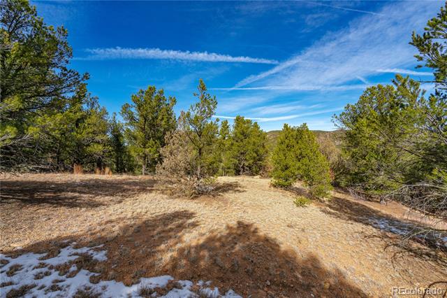 Lot 10 Prairie Dog Road
