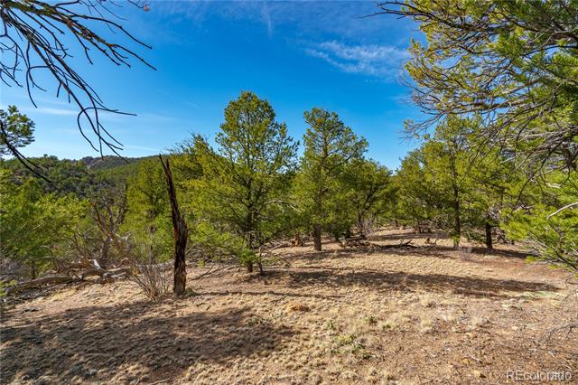 Lot 10 Prairie Dog Road