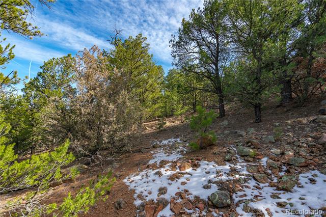 Lot 10 Prairie Dog Road