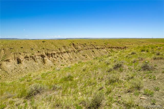 Lot 195 Colorado Land and Livestock
