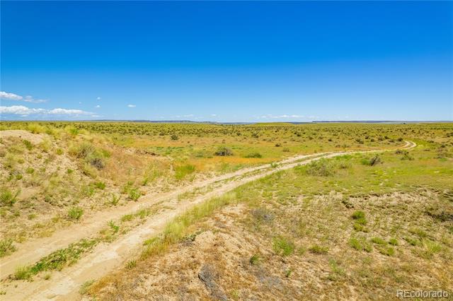 Lot 195 Colorado Land and Livestock