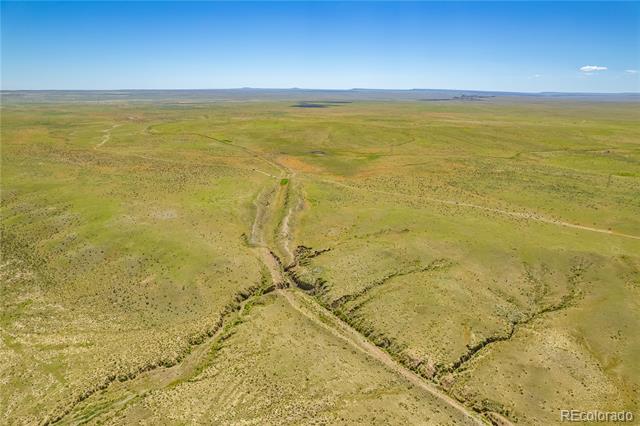 Lot 195 Colorado Land and Livestock