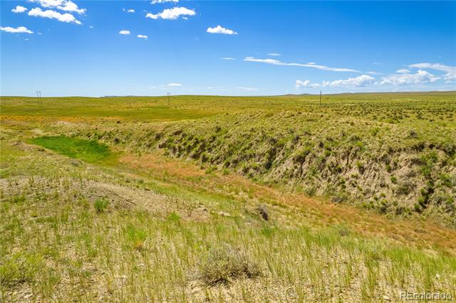 Lot 195 Colorado Land and Livestock