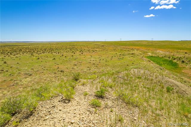 Lot 195 Colorado Land and Livestock