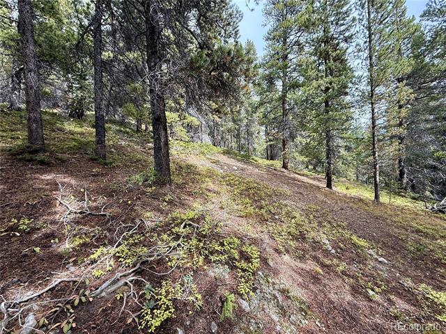 Lot 408 Glory Hole Road