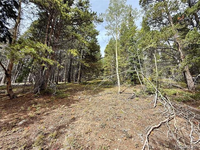 Lot 408 Glory Hole Road