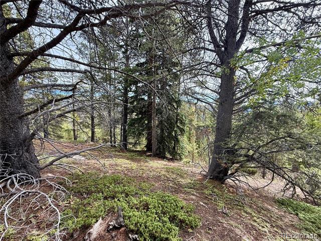 Lot 408 Glory Hole Road