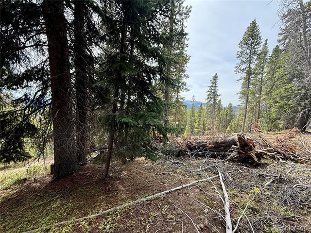 Lot 408 Glory Hole Road