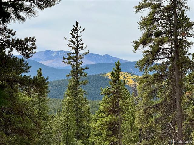 Lot 408 Glory Hole Road