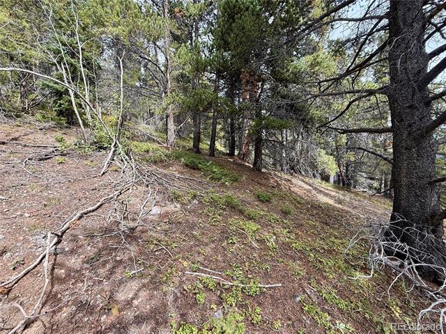 Lot 408 Glory Hole Road