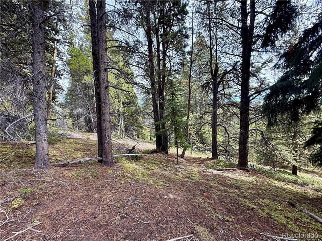 Lot 408 Glory Hole Road