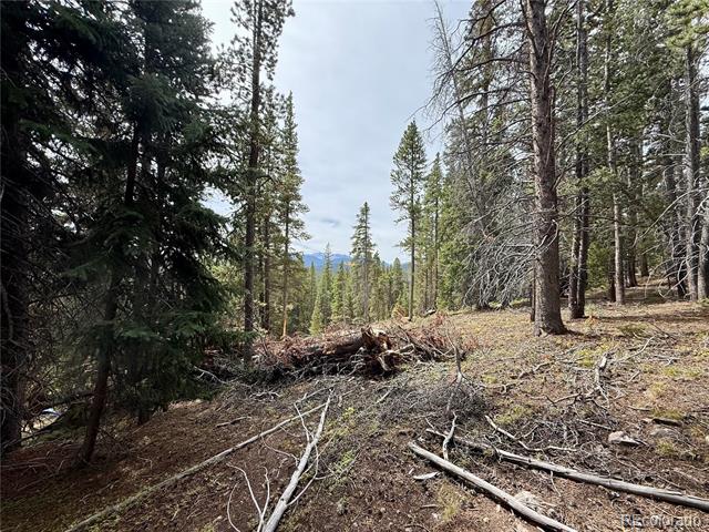 Lot 408 Glory Hole Road