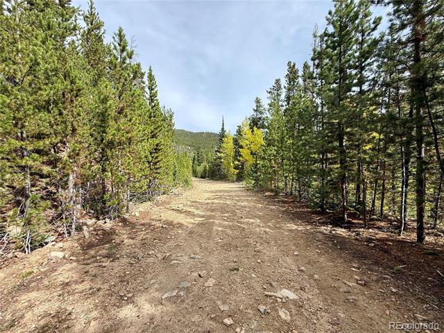 Lot 408 Glory Hole Road