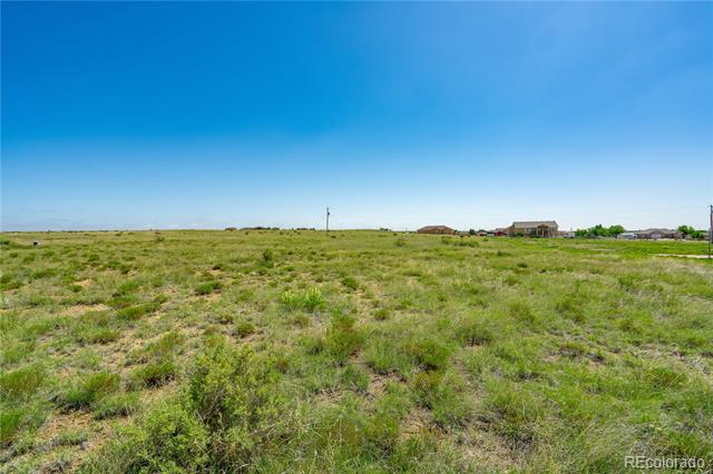 1368 N Blazing Star Lane