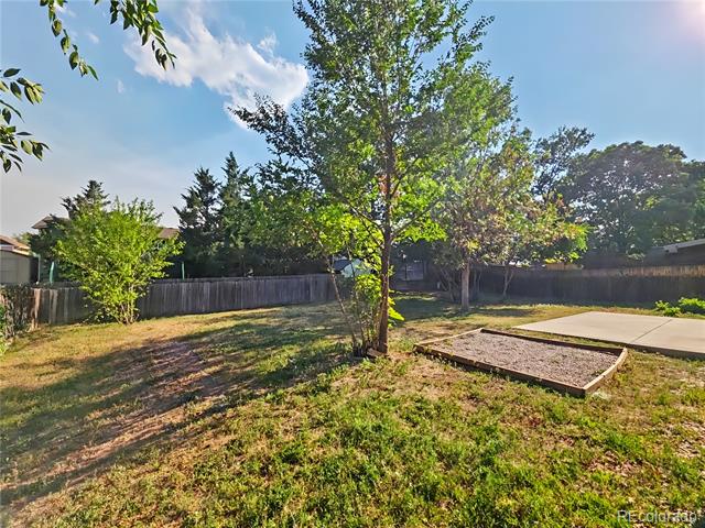 115 Olympus Circle