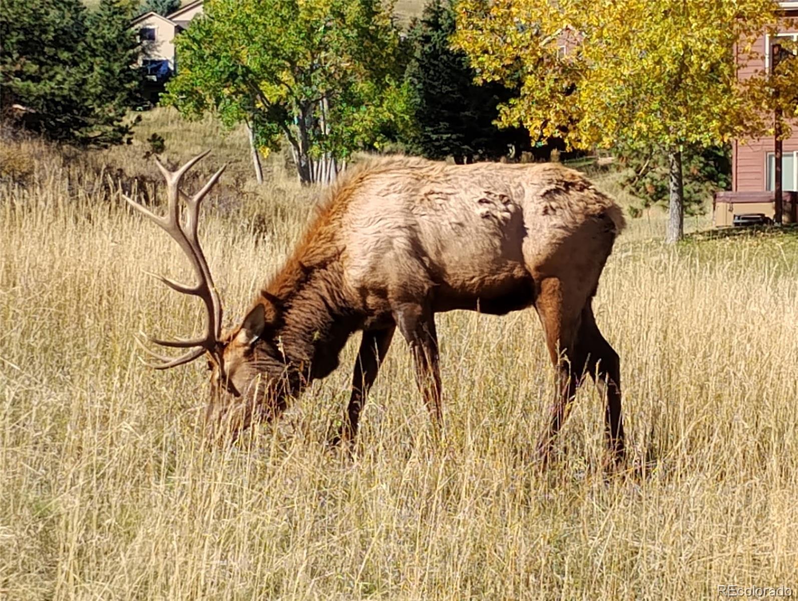 23674 Pondview Place Unit: B