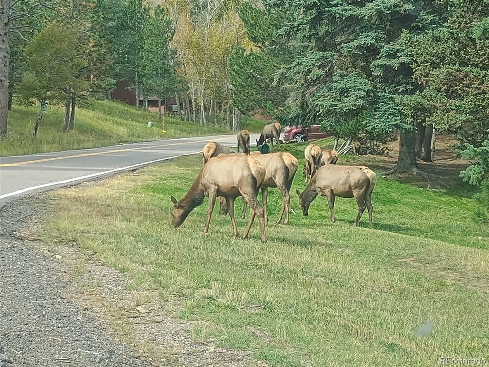 23674 Pondview Place Unit: B