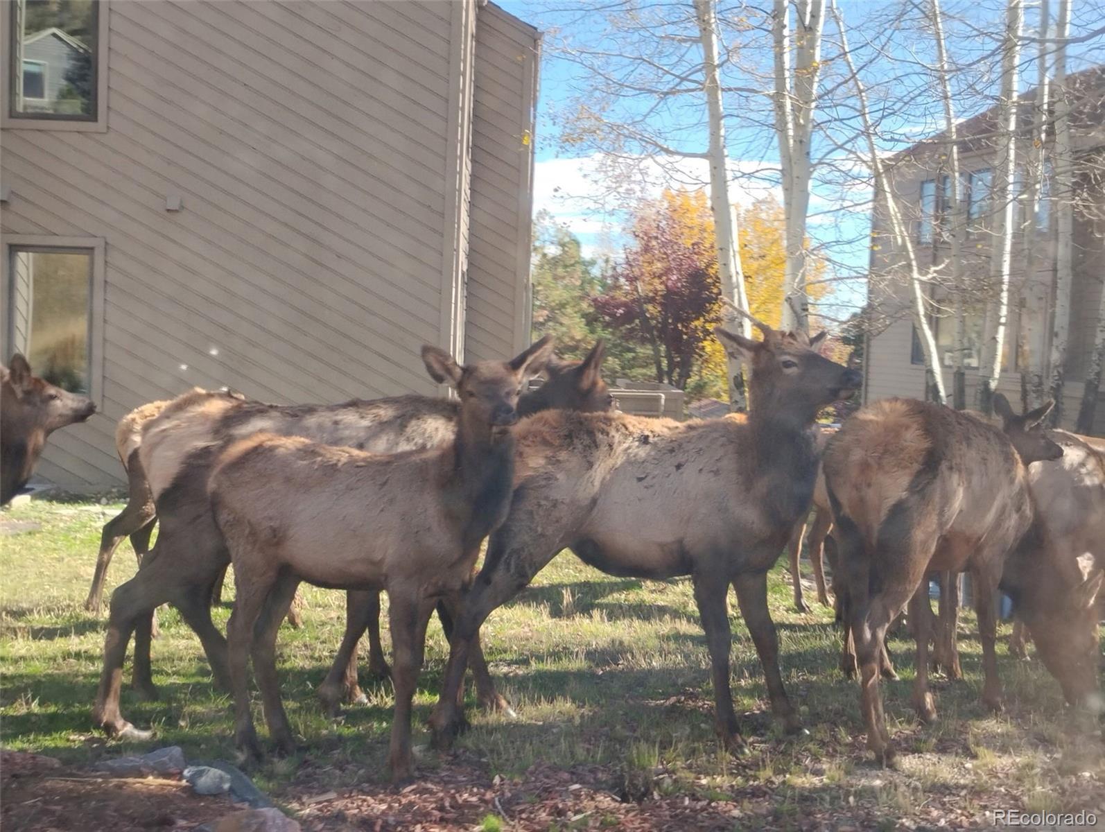 23674 Pondview Place Unit: B