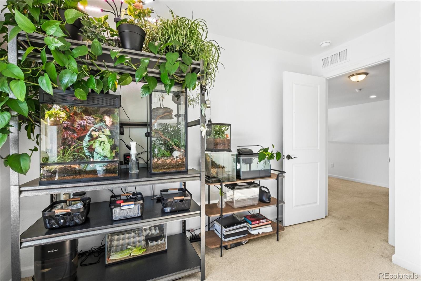 5445 Canyon View Drive