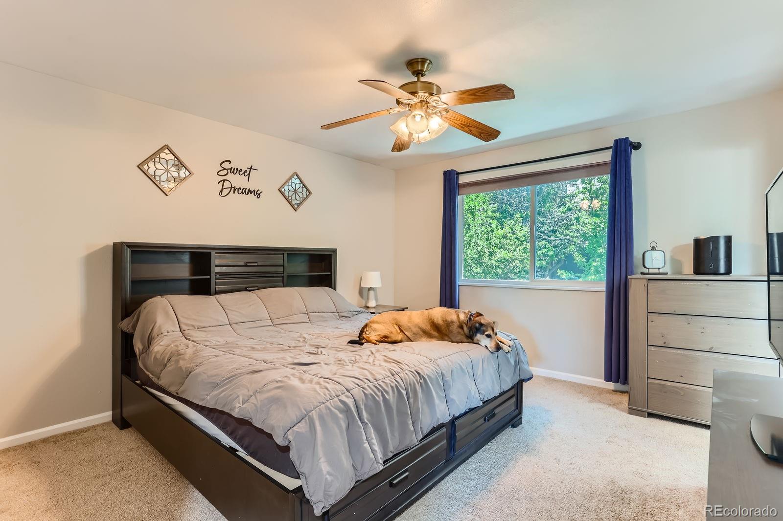 3686 S Yampa Way