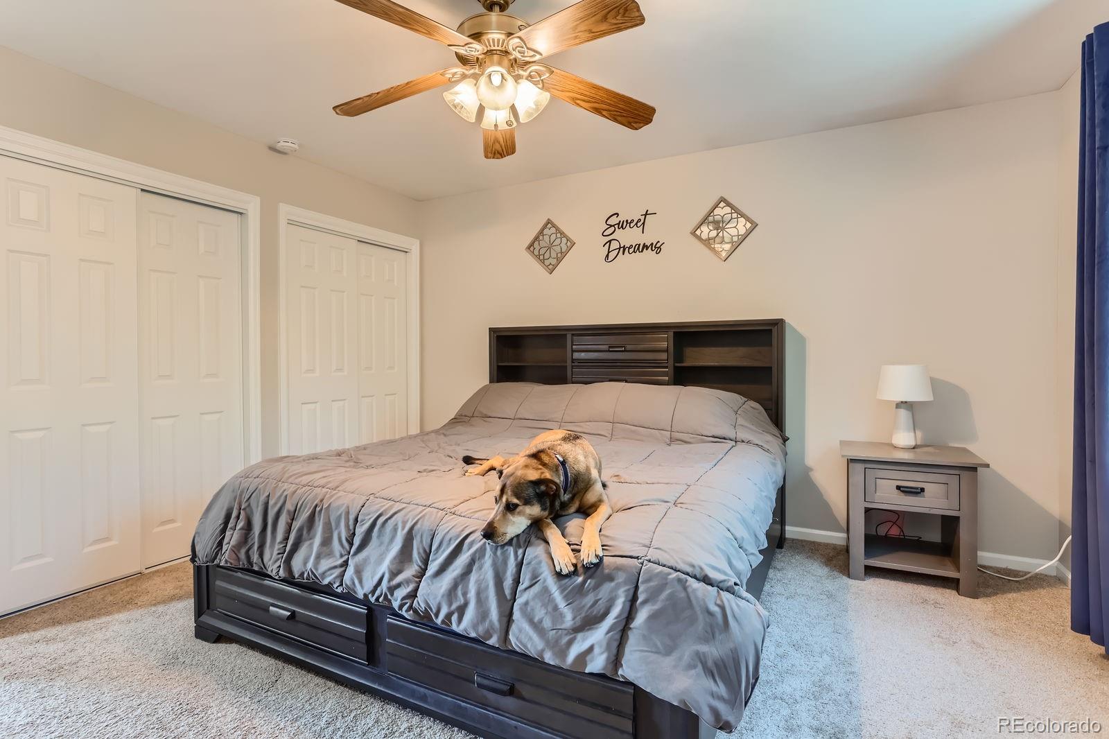 3686 S Yampa Way