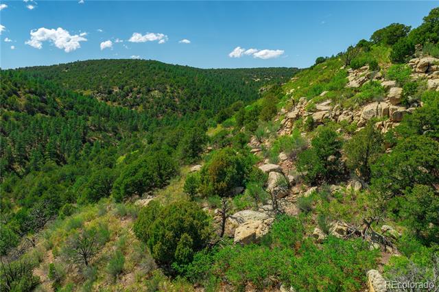 Tollerburg Road