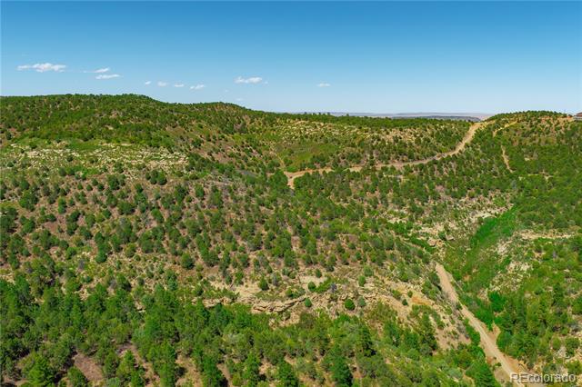 Tollerburg Road