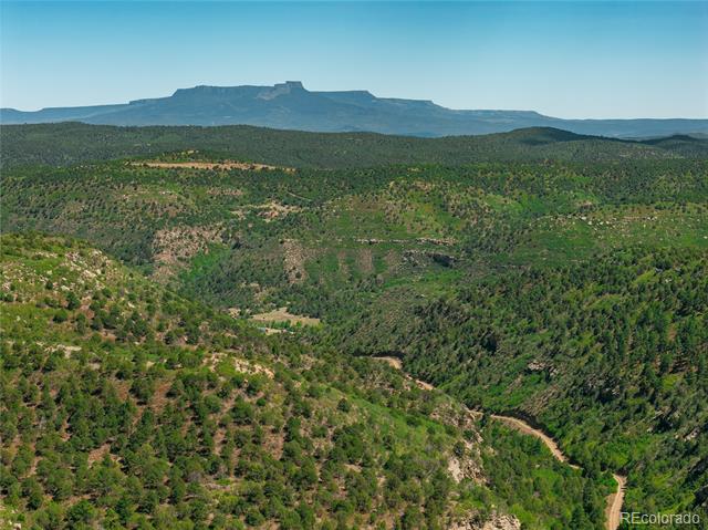 Tollerburg Road