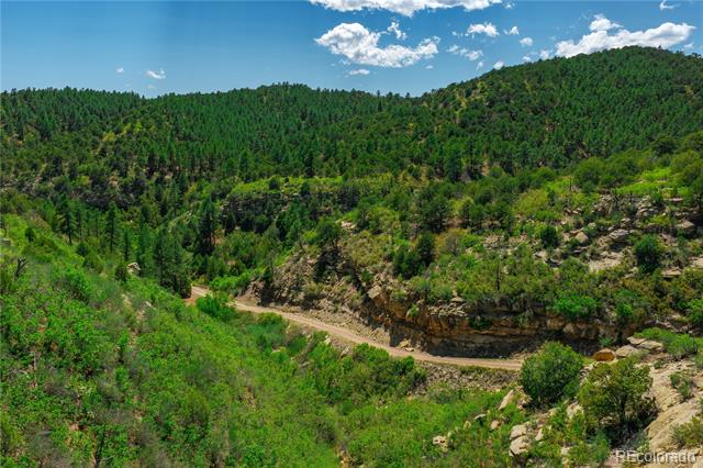 Tollerburg Road