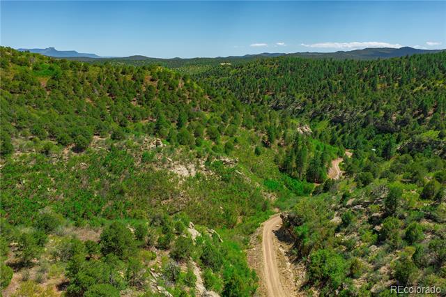 Tollerburg Road