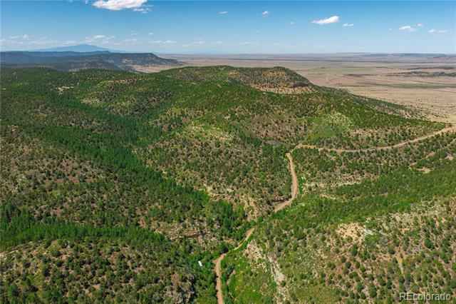 Tollerburg Road