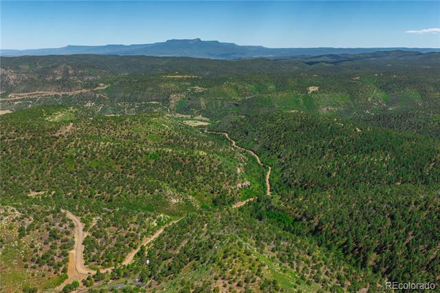 Tollerburg Road