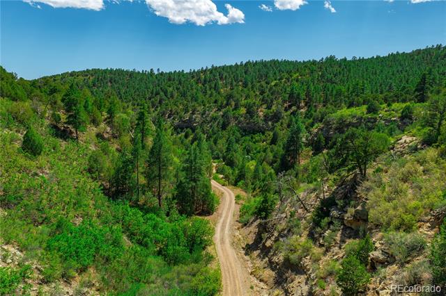 Tollerburg Road