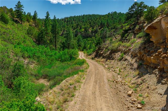 Tollerburg Road