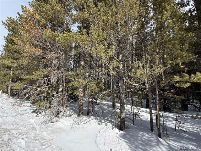 Lot 105 Deer Road