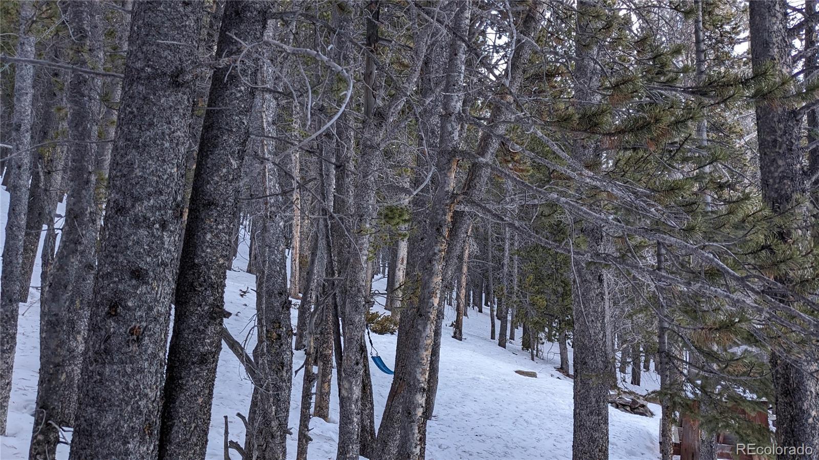 Lot 917 Lincoln Circle