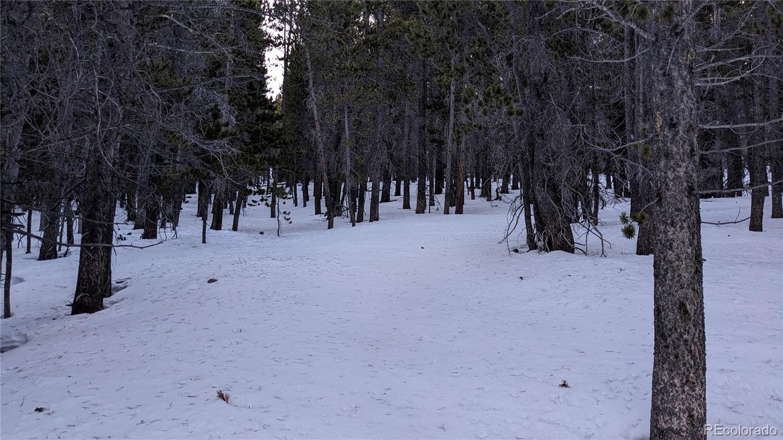 Lot 917 Lincoln Circle