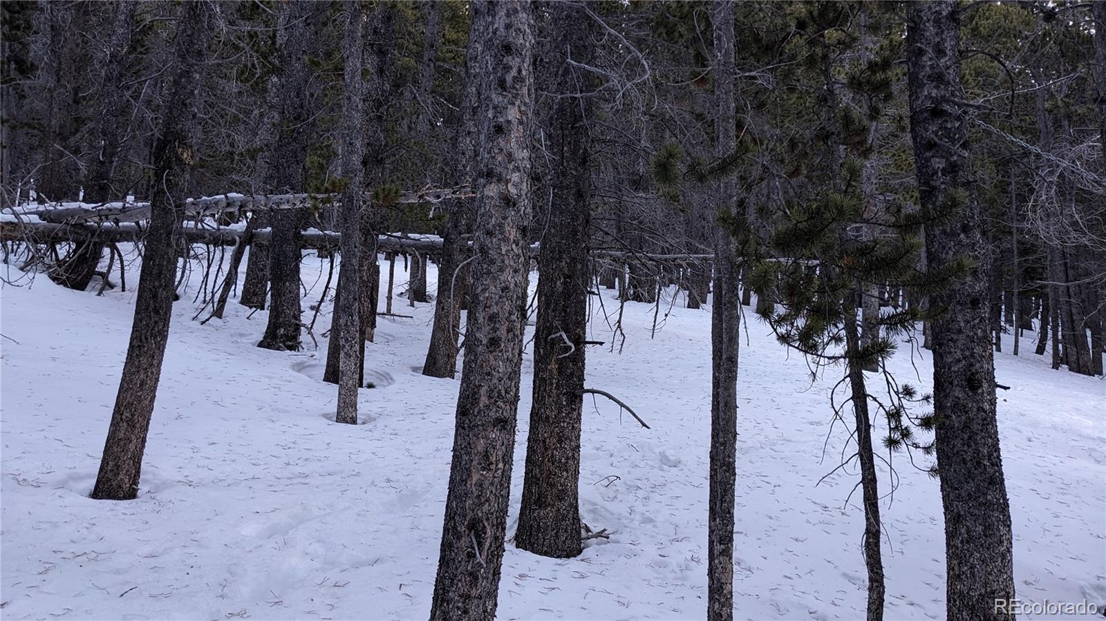Lot 917 Lincoln Circle