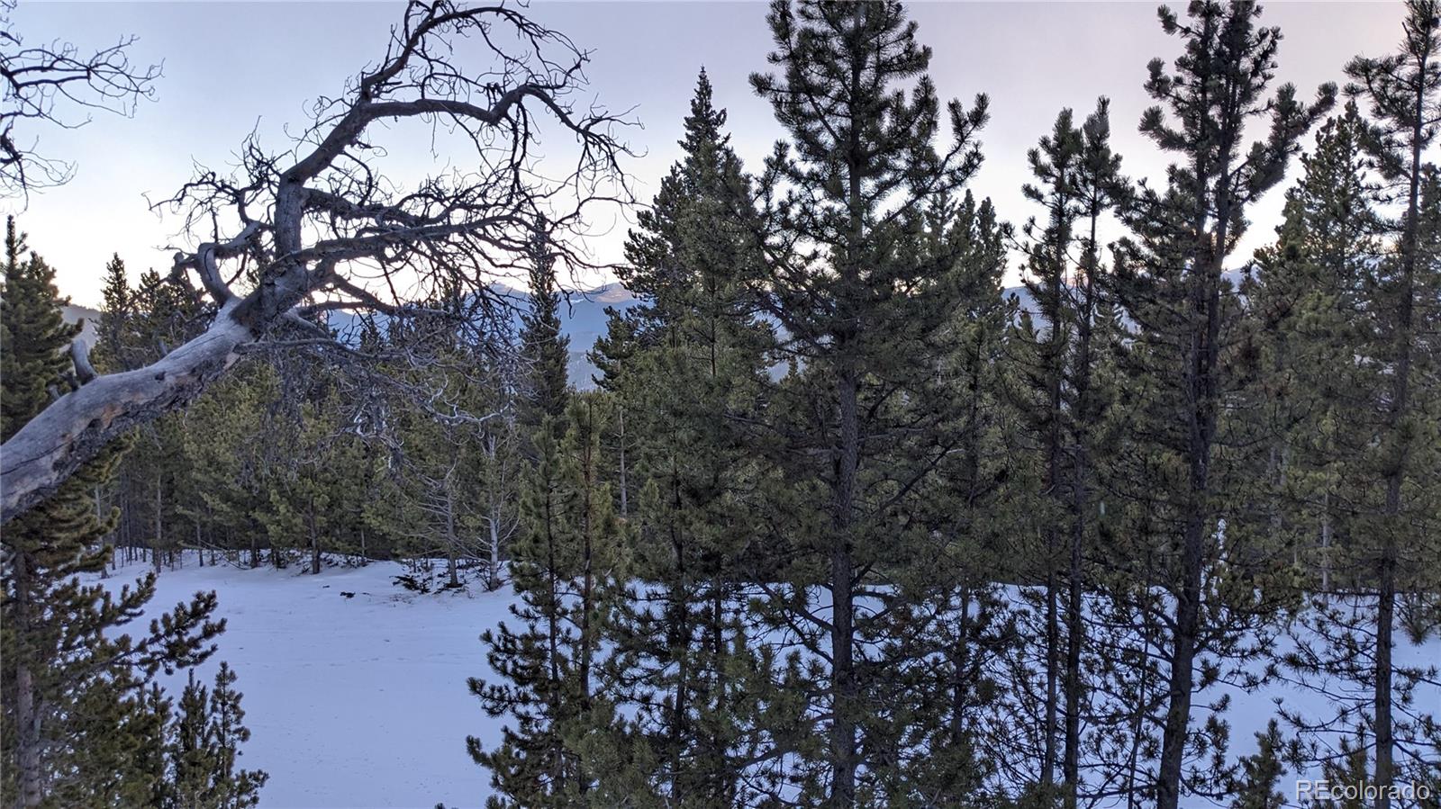 Lot 917 Lincoln Circle