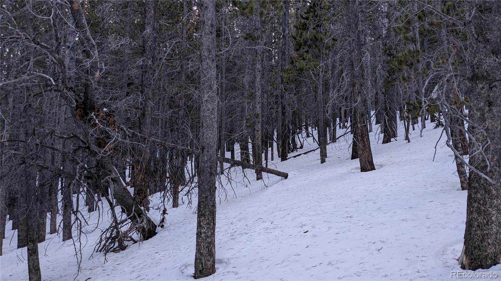 Lot 917 Lincoln Circle