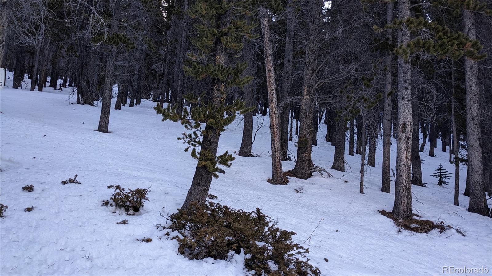 Lot 917 Lincoln Circle