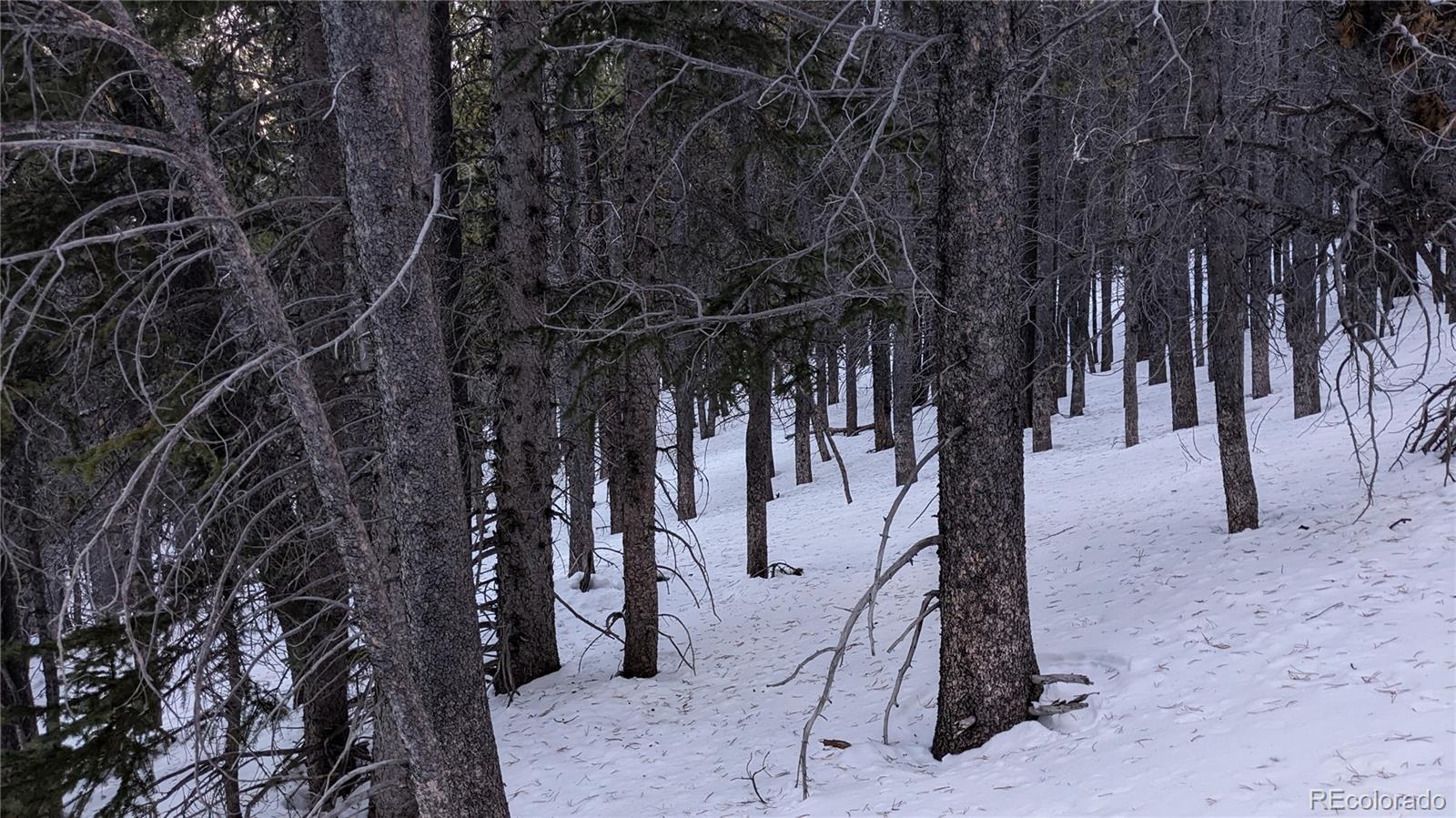 Lot 917 Lincoln Circle