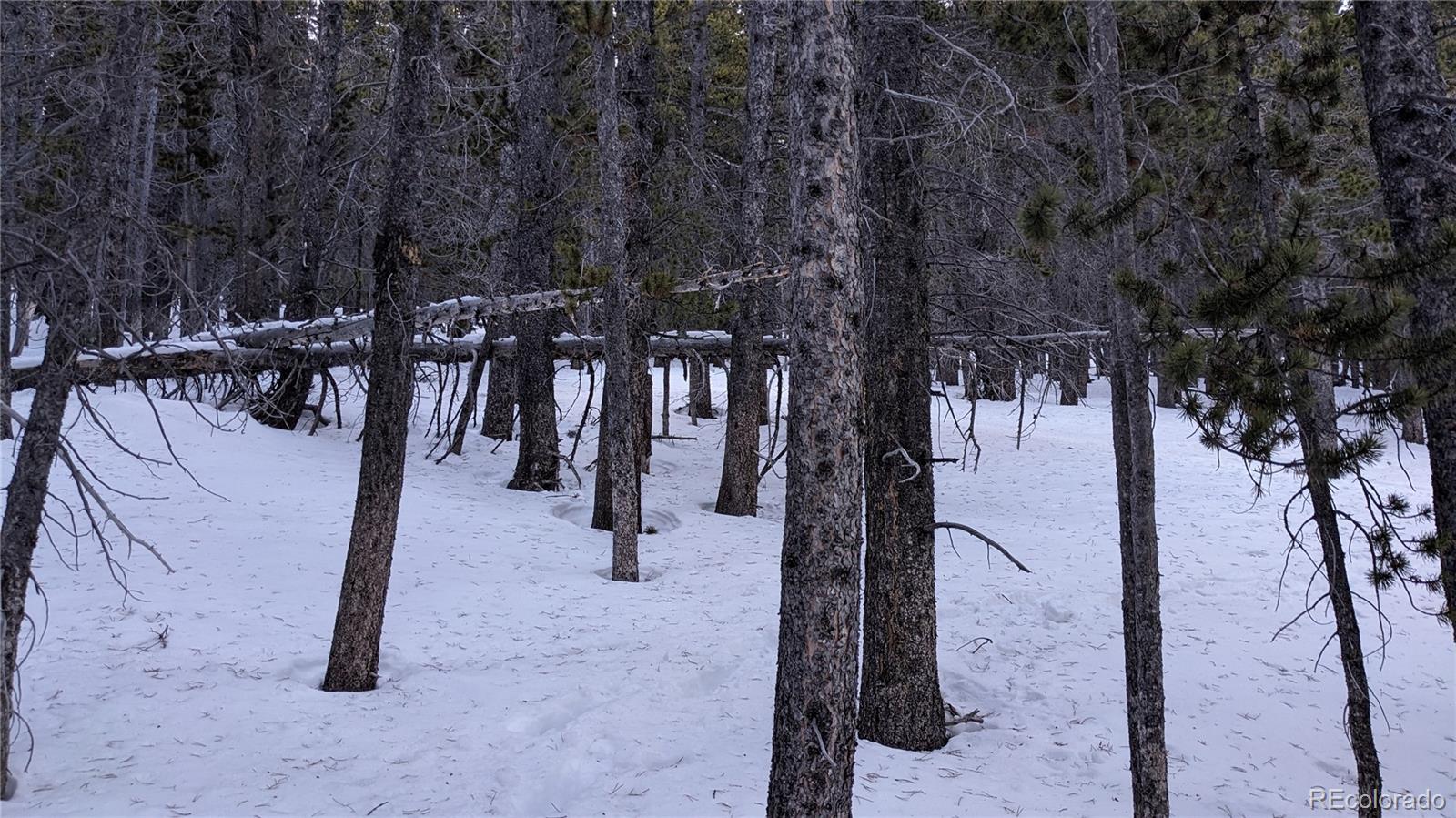 Lot 917 Lincoln Circle