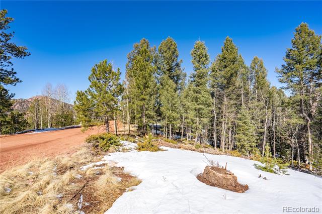 1007 Derby Drive