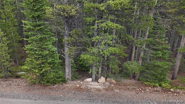 Lot 285 Lower Forest Road